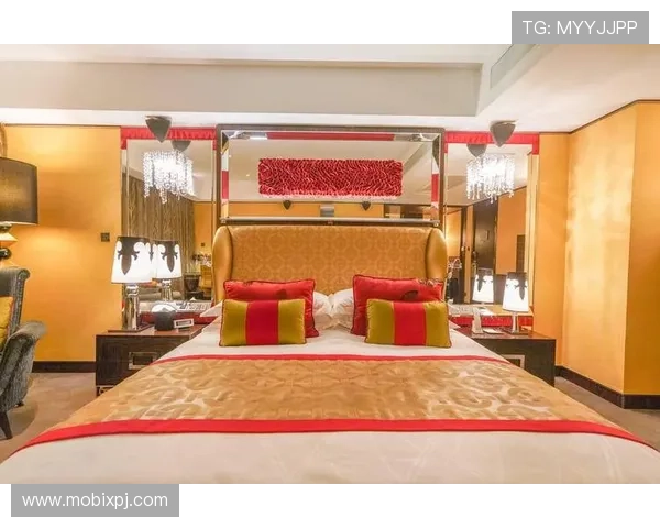 澳门新葡京455官方网站最新消息及游戏攻略全方位介绍